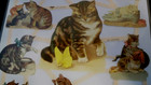 78 Cats 6 Sheets German Die Cut Scrap Vintage Style Germany
