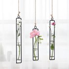 Aoderun Hanging Glass Planter Water Iron Art Hydroponic Vase Transparent Test   