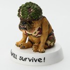Westland Zelda Wisdom   4790     i m Will Survive      Bulldog Dog Figurine