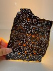 128 8grams Sericho Pallasite Meteorite Slice Specimen With Certificate