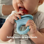 Frida Baby Push Pop Feeder  Baby Fruit Food Feeders  Safely Introduce New Foods 
