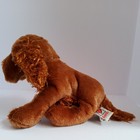 Ganz Webkinz Irish Setter Dog Plush Stuffed Animal Hm177 No Code