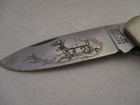 Western S-532 White Tail Buck Etched On Single Blade Pocket Knife Usa Made