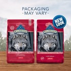 Blue Buffalo Wilderness Natural High Protein Dry Food For Adult Dogs Salmon