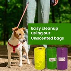Unscented Dog Poop Bags Dog Waste Bags Biodegradable 16 Refill Rolls 240 Ct-fpn