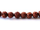 Large Long 108 8mm Rudraksha Bodhi Seeds Meditate Prayer Beads Mala Necklace 32 