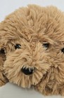 Fao Schwarz Doodle Plush Dog Adopt A Pets Stuffed Animal New 15  New Papers 2022