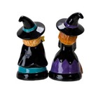Pt  Hocus Pocus Witches Magnetic Ceramic Salt And Pepper Shakers Set