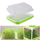 Microgreens Sprouter Tray 2 Layer Hydroponic Growing Kit Garden Tray