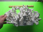 Large White Faux Coral Decor 16 