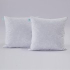 Square Couch And Bed Decorative Pillows  2-pack Euro Size Throw Inserts  26 x26 