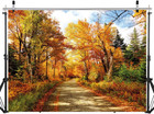 Fall Photography Backdrop 7x5ft Autumn Fallen Leaves Natural Landscape For Decor