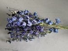 Blue Delphinium Bunch Bouquet Bundle Dried Flowers Usa Assorted Blue Hues Auc 1
