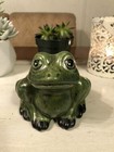 Vintage Ceramic Frog Planter Vase 4 25   green Figurine Sponge Holder Garden Decor