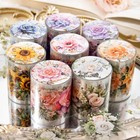 Pet Tape Flower Garden Series Decorative Tape Sticker Plant Stationery Sticker