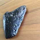 4    Megalodon Shark Tooth Rare Fossil Teeth Kids Gift Present Massive Nc Sharks