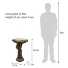 Versatile Concrete Birdbath  Ideal For Gardens  Patios  And Outdoor Spaces