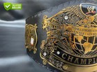 Undisputed Old World Heavyweight Championship Belt Replica Title Adult Size 4mm