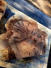 Xl Insanely Figured Ambrosia Maple Burl Wood Cookie Curly Maple Epoxy craft Wood
