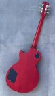 Bone Nut Electric Guitar Carved Wragon Top Beautiful Inlays Glossy Finished