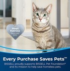 Bissell Cleanview Compact Turbo Upright Vacuum     Powerful Bagless Pet Cleaner     
