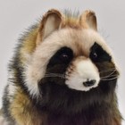 Hansa Raccoon Dog Realistic Big Size Plush Toy Doll 15 3in Bh7256 Brown Japan
