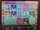 Igt Gk003038 Maltese Fortune 044 Flash Board With Gkb00036 Bootchip