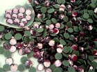 1440 Pcs Hotfix Iron-on Rhinestones Crystals Flatback 10gross Multi-colors 2-5mm