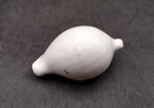 Egg Cowrie White Seashell Ovula Ovum  1 Shell Approx  2  Inches  White Cowrie