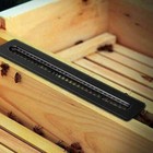 Small Bee Beetle Trap Hive Beetle Blaster Beehive Plastic Beekeeping Tools