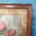 Antique 1907 Framed Chromolithograph Kittens Print The Five Senses Gray Co  Gold