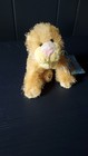 New Retired Ganz Webkinz Lil  Kinz Lioness Hs193 Unused Sealed Code
