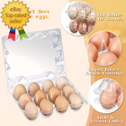 400 Pcs Plastic Egg Cartons Clear Egg Cartons Bulk Blank Tray For Chicken Farm B