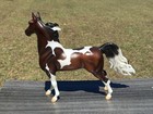 Breyer Livingston Saddlebred Stallion 2021 Flagship Special Run Pinto