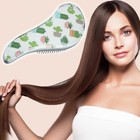 Tangle Shower Hair Magic Handle Detangling Brush Comb Cactus Pattern