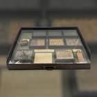 Antique Shadow Box Diorama Of Tea  Coffee  And Cacao Samples Philadelphia Museum