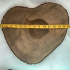 Oak Wood Slab Cutting Board Or Crafting 