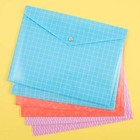    Document Envelopes   Transluscent Poly Material   Multicolor Variety Pack 