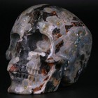 3 0  Ocean Jasper Carved Crystal Skull  Realistic  Crystal Healing