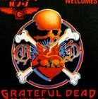 Grateful Dead Backstage Pass Commemorative 1982 New York 4 11 82 4 12 82 Griffin