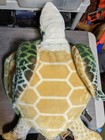 Melissa   Doug Large 28  Plush Stuffed Lifelike Lovable Green Sea Turtle Pillow