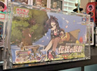 Acrylic Magnetic Case For Eevee Heroes Gym legendary Heart Beat  Clara Avery Meg