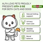 Cat   Dog Uti Treatment   Kidney Support For Cats   Dogs   2 Oz