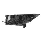 Hid Halogen Headlight Assembly Fits For 2017 2018 2019 Ford Escape right 