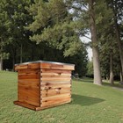 10 Frame Medium Super Bee Hive Box  Langstroth Honey Bee Hive Dipped In 100  Bee