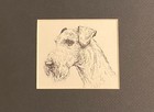 Airedale Terrier Head - Matted   Framed   Ready To Gift - 1963 Vintage Dog Print