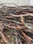 Parrot Perch Wood - Wooden Branches - 7ft- Dragonwood - 15 Pieces - Bird Wood 