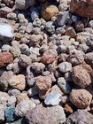 Thundereggs  Oregon  1- 1 2 To 2 Pound Lot  As Found Uncut Rough  Agate