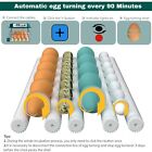 Incubadora De Huevos Automatica Para Huevos De Pato Gallina Codorniz 16 Huevos