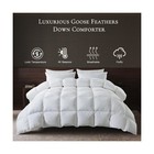 Bedtreat Luxurious Goose Feathers Down Comforter Queen Size All Sea    Fast Ship